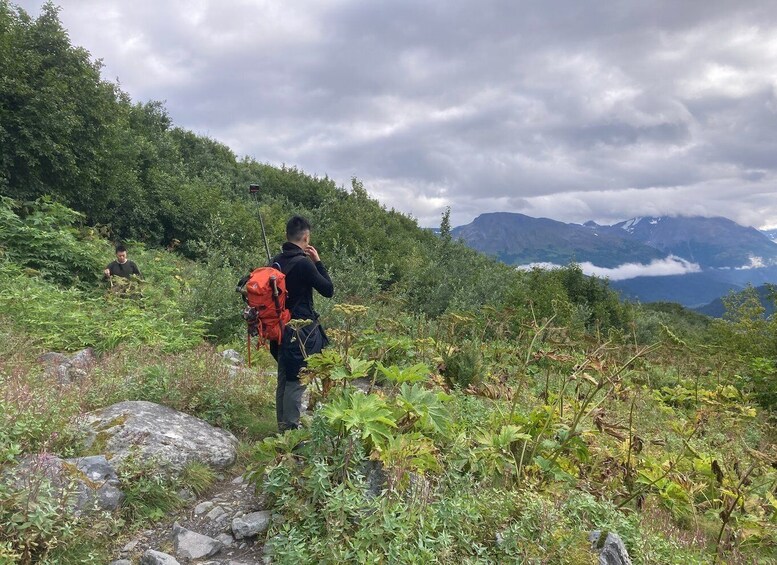 Picture 6 for Activity From Seward: 4-hour Wilderness Hiking Tour