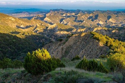 Full-day Private Wilderness tour in Vashlovani National Park