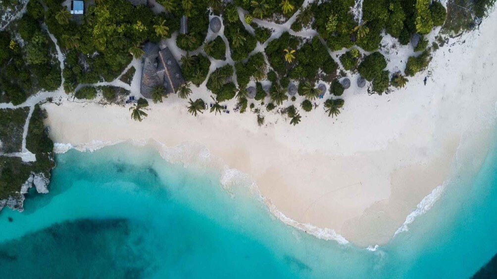 Picture 5 for Activity Zanzibar: Blue Lagoon, The Rock, Paje Beach, and Jozani Tour