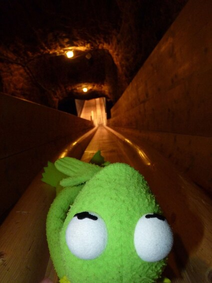 Picture 5 for Activity Driver-Guide: Salzburg-Königsee, Salt Mines and Eagle's Nest