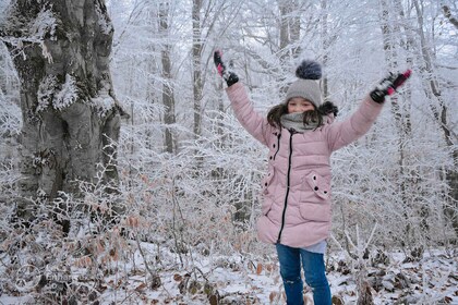 Amusement en famille : Sabaduri, Ours, Jvari et Chronique de Géorgie