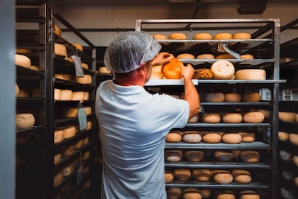 Pienza: recorrido por una granja lechera con degustación de queso pecorino