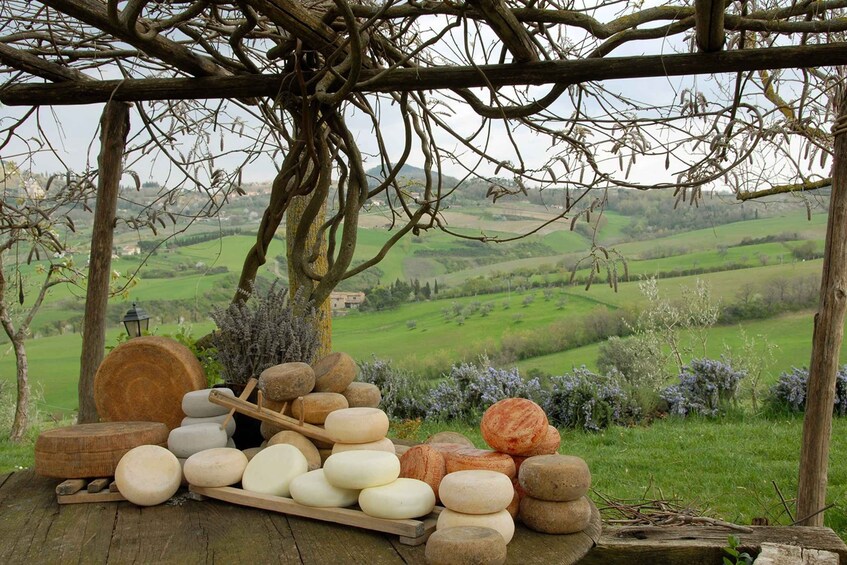 Picture 2 for Activity Pienza: Dairy Farm Tour with Pecorino Cheese Tasting