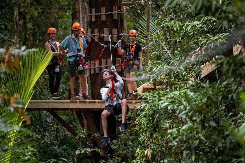 Picture 3 for Activity Port Douglas: Daintree Rainforest Canopy Ziplining Tour