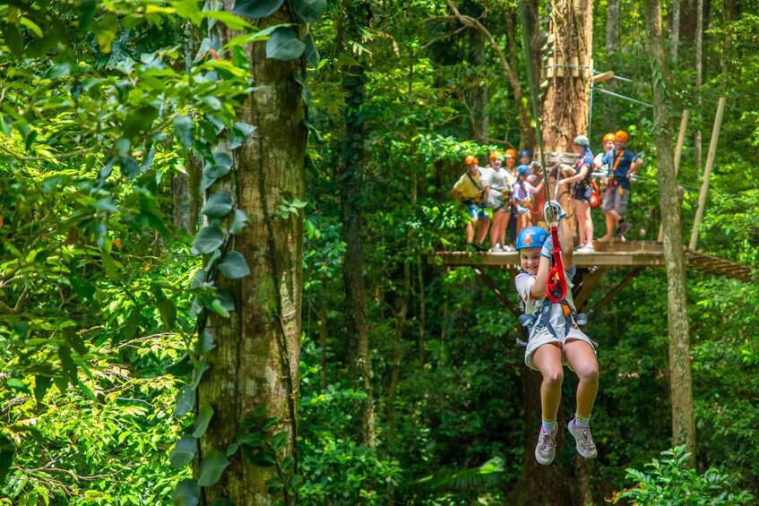 Picture 6 for Activity Port Douglas: Daintree Rainforest Canopy Ziplining Tour