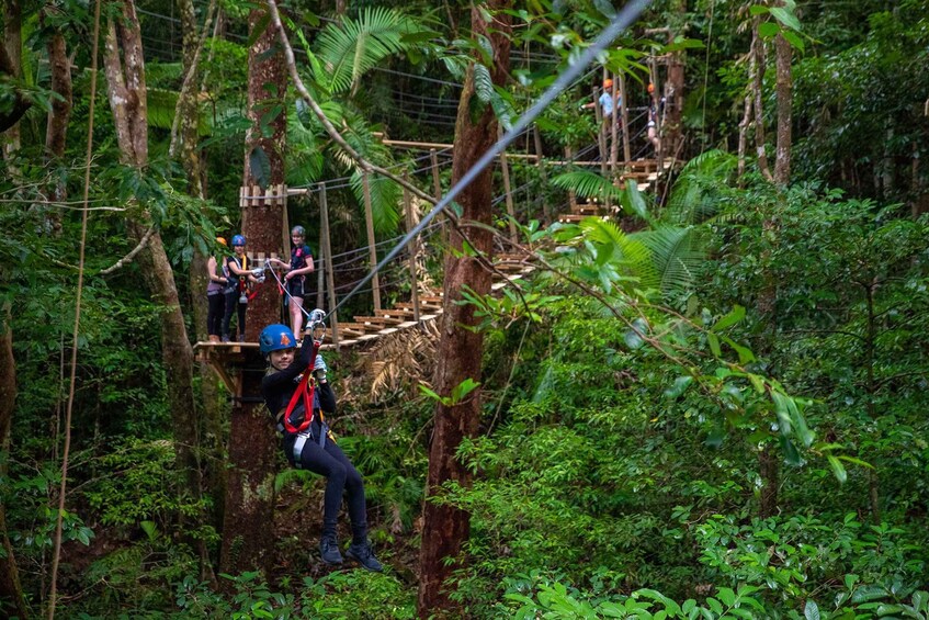 Picture 1 for Activity Port Douglas: Daintree Rainforest Canopy Ziplining Tour