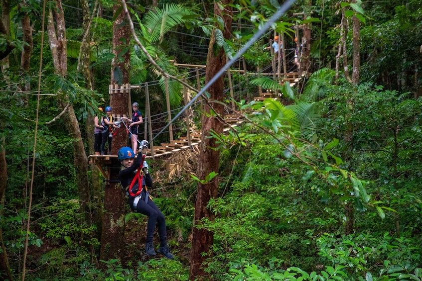 Picture 1 for Activity Port Douglas: Daintree Rainforest Canopy Ziplining Tour