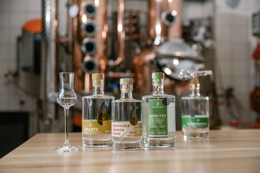 Brandy & Gin tasting in a traditional distillery (English)