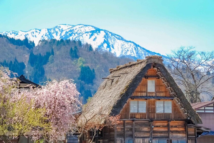 Picture 8 for Activity From Nagoya: Shirakawa-go Bus Ticket with Hida Beef Lunch