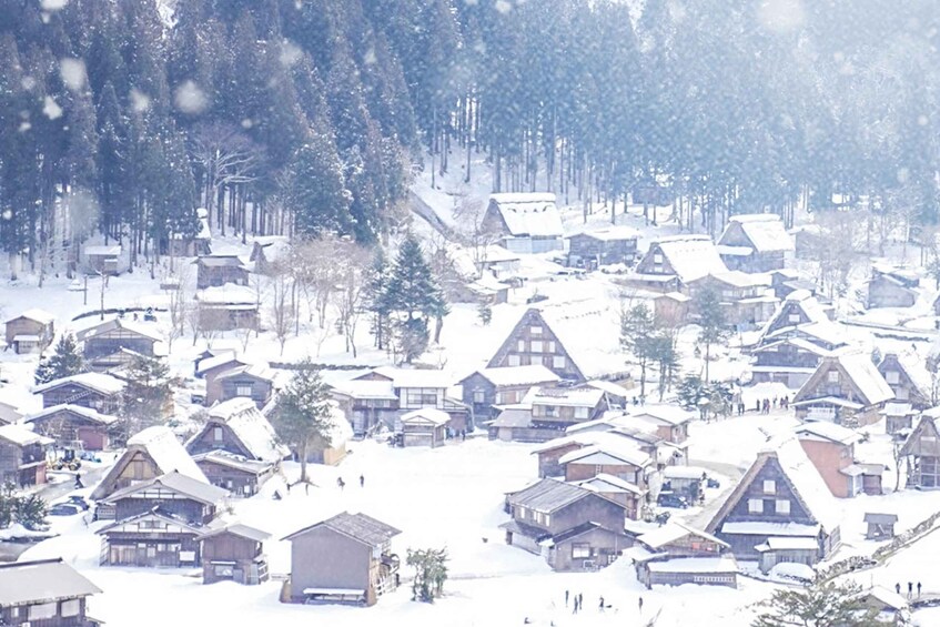 Picture 9 for Activity From Nagoya: Shirakawa-go Bus Ticket with Hida Beef Lunch