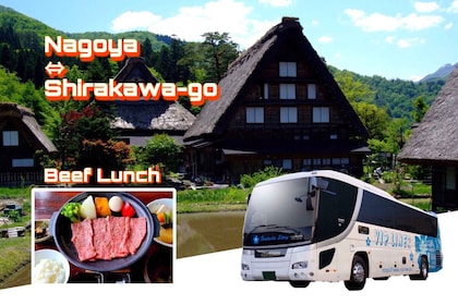 Shirakawa-go from nagoya 1D Bus ticket with Hida Beef Lunch