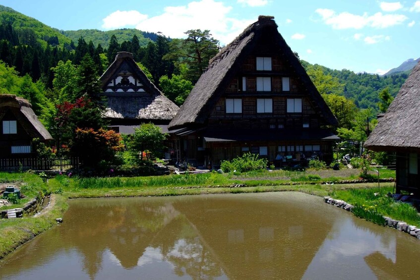 Picture 14 for Activity From Nagoya: Shirakawa-go Bus Ticket with Hida Beef Lunch