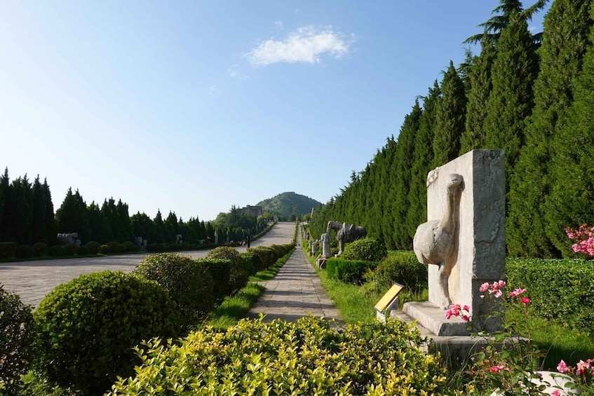 Picture 4 for Activity Hike Tang Imperial Tombs: Qianling, Jianling, and Zhaoling