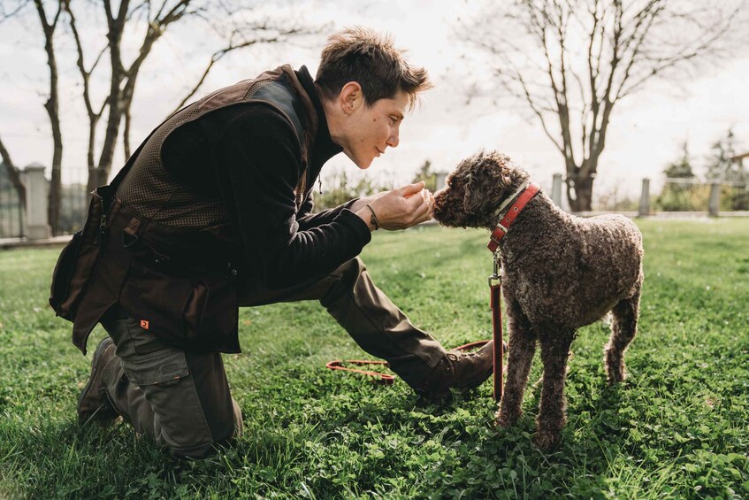 Picture 5 for Activity Barberino Tavarnelle: Truffle Hunt Tour with Lunch or Dinner