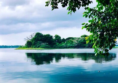 从亚拉出发：日落湖游船之旅和海滩烧烤晚餐