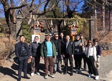 Shinjuku: vista panorámica del monte Fuji y tour de un día de compras