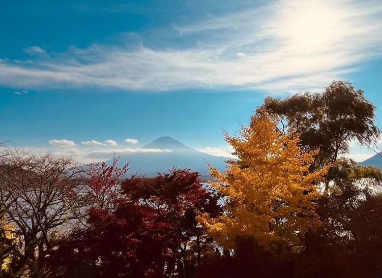 Picture 3 for Activity Shinjuku: Mount Fuji Panoramic View and Shopping Day Tour