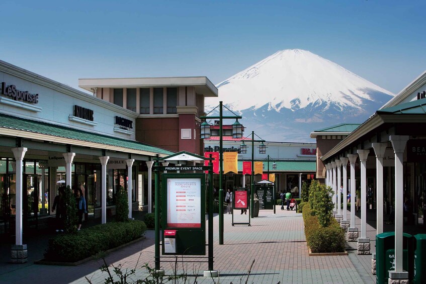 Picture 6 for Activity Shinjuku: Mount Fuji Panoramic View and Shopping Day Tour