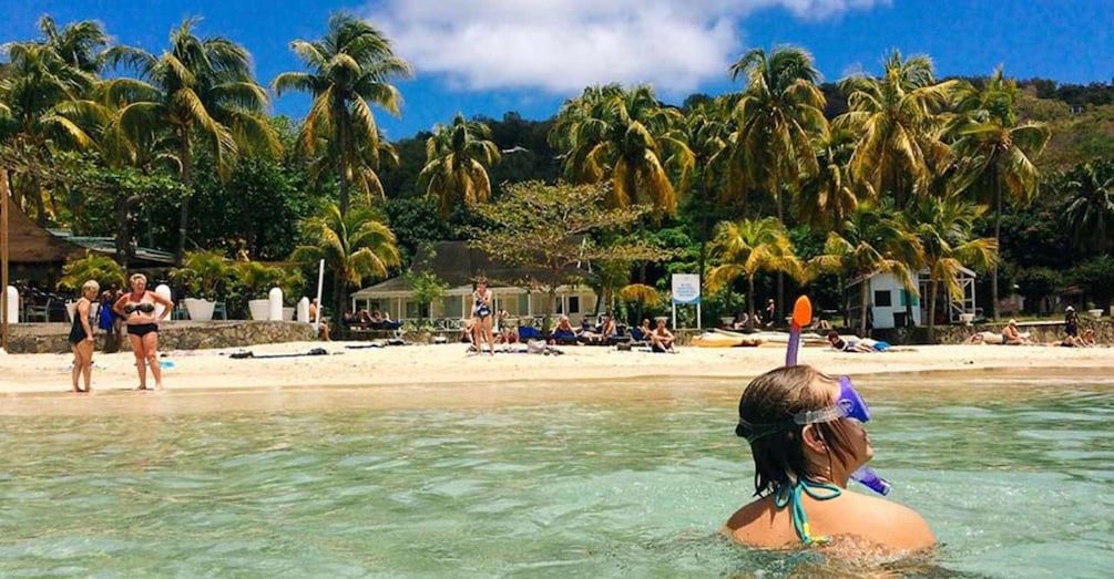 Picture 3 for Activity Roatan Horseback Riding Tour + Beach