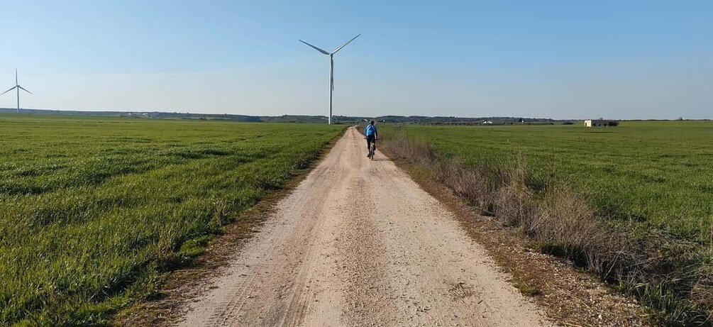 Picture 7 for Activity Matera: Ebike tour to Matera & tasting of bread and EVO oil