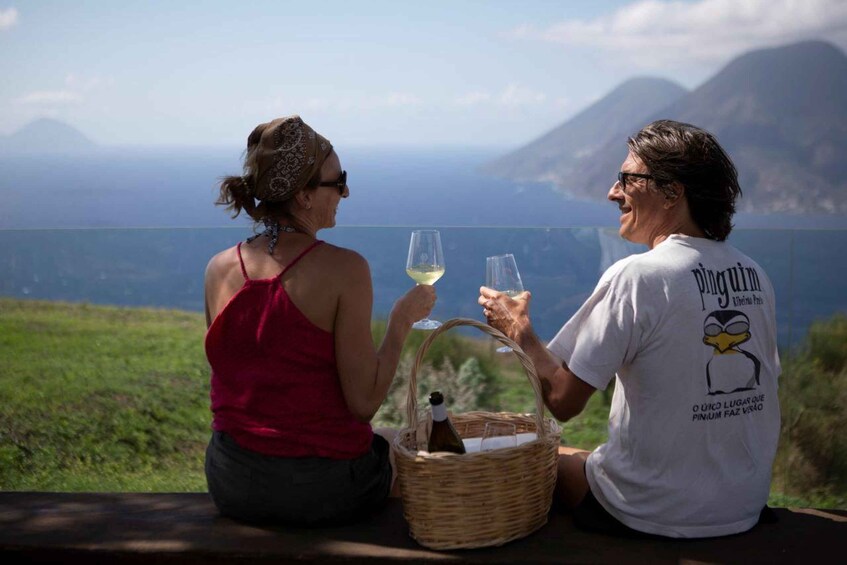 Picture 3 for Activity Lipari: Picnic in the Vineyard