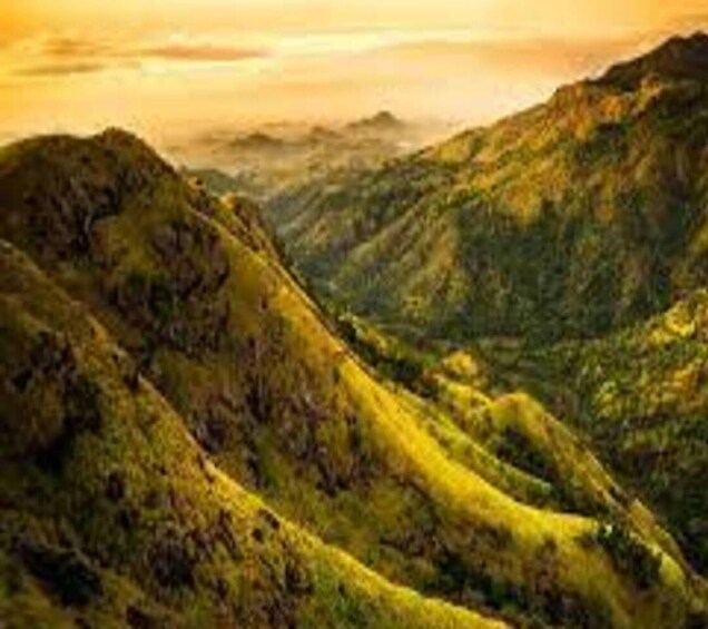 Picture 9 for Activity From Ella:Nine arch bridge, Ella Rock,Little Adam'speak Tour