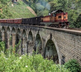 From Ella:Nine arch bridge, Ella Rock, Little Adam'speak excursion