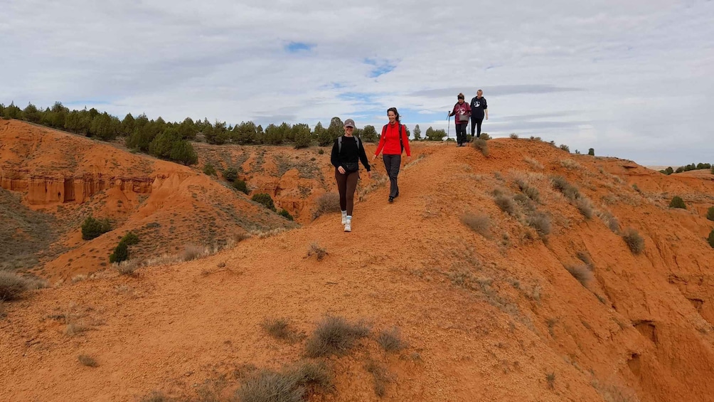 Picture 3 for Activity From Valencia: Hiking Tour of The Red Canyon of Teruel