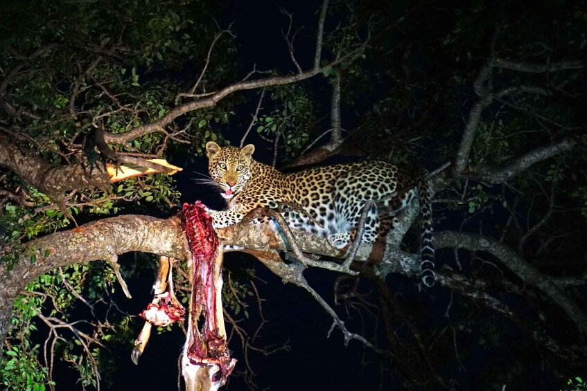 Picture 3 for Activity South Luangwa National Park: Overland Transfer Service