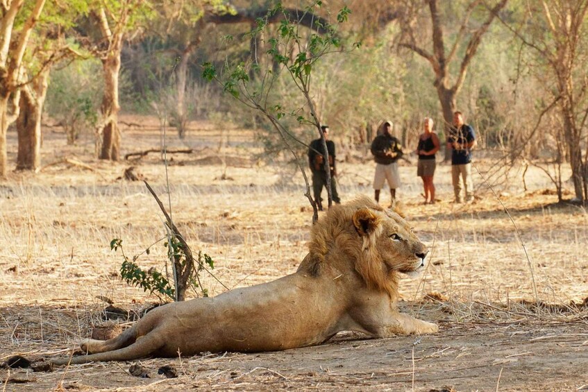 Picture 2 for Activity South Luangwa National Park: Overland Transfer Service