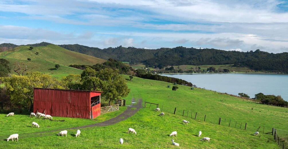 Picture 2 for Activity Duder Regional Park Walking Tours