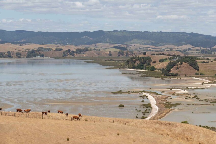 Picture 3 for Activity Duder Regional Park Walking Tours