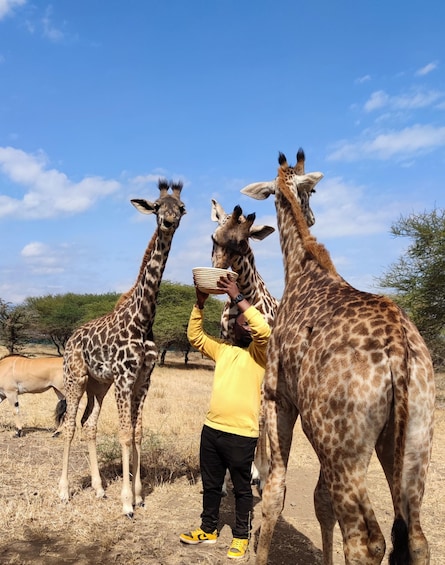 Picture 1 for Activity Moshi: Serval Wildlife Tour with food and drinks