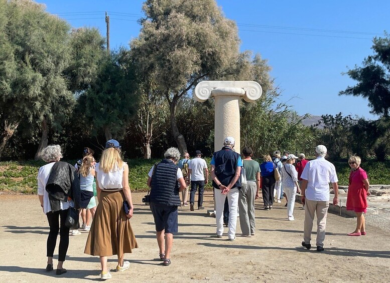 Picture 1 for Activity Naxos: Myths & Ancient Sites with Olive Oil tasting and Wine