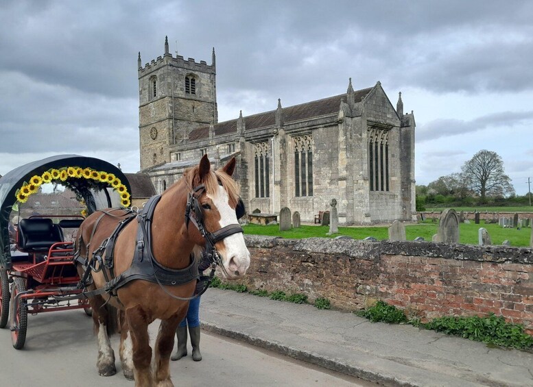 Horse drawn carriage ride and Picnic Hamper