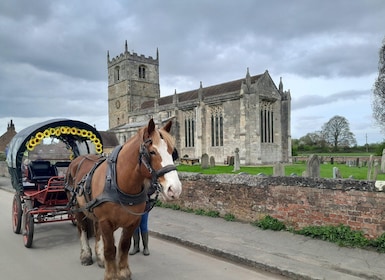 Paseo en coche de caballos y cesta de picnic