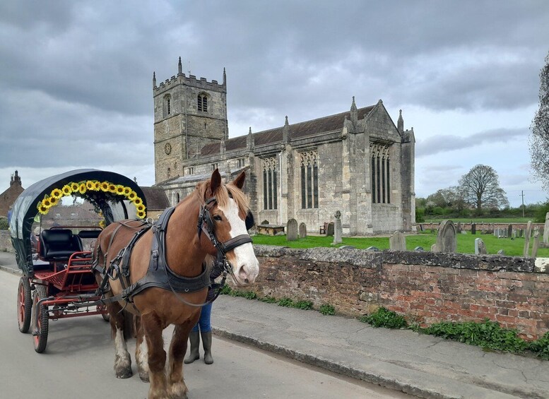 Horse drawn carriage ride and Picnic Hamper