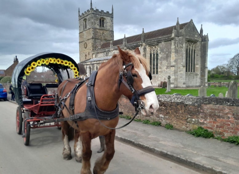 Picture 1 for Activity Horse drawn carriage ride and Picnic Hamper