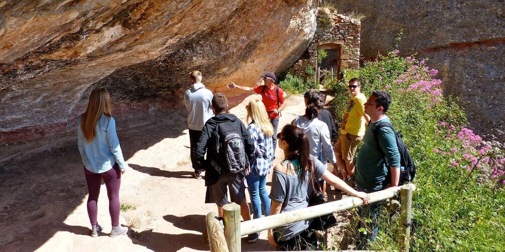 Picture 4 for Activity From Barcelona: Montserrat Mountain Hike and Abbey Tour
