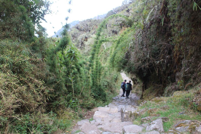 Picture 6 for Activity Classic Inca Trail Trek