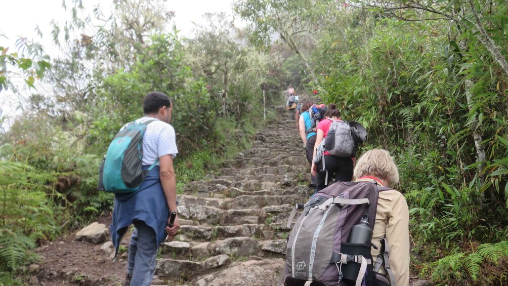 Picture 10 for Activity Classic Inca Trail Trek