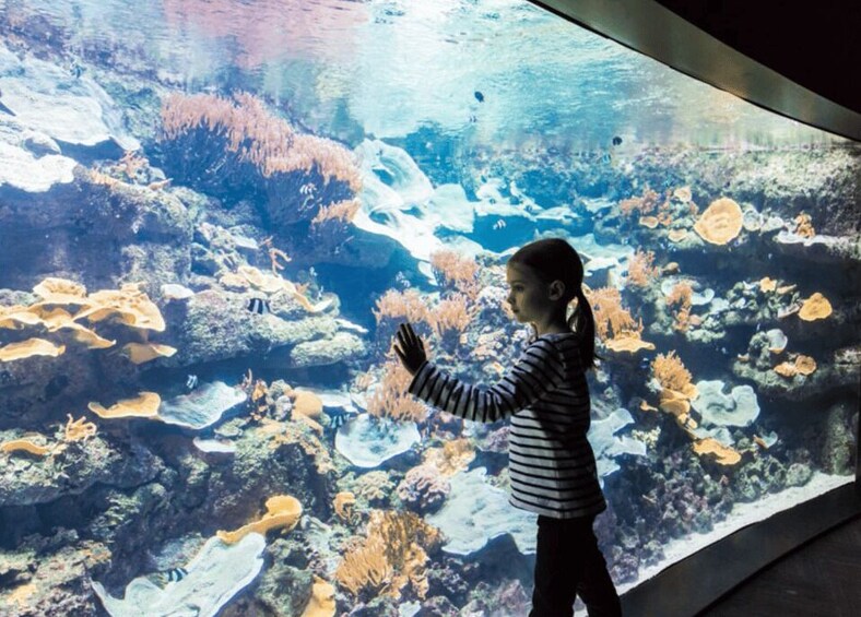 Paris: Aquarium Entry Ticket & Self-Guided Eiffel Tower Tour