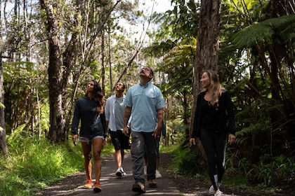 Salida diurna de Volcano Explorer desde Kona