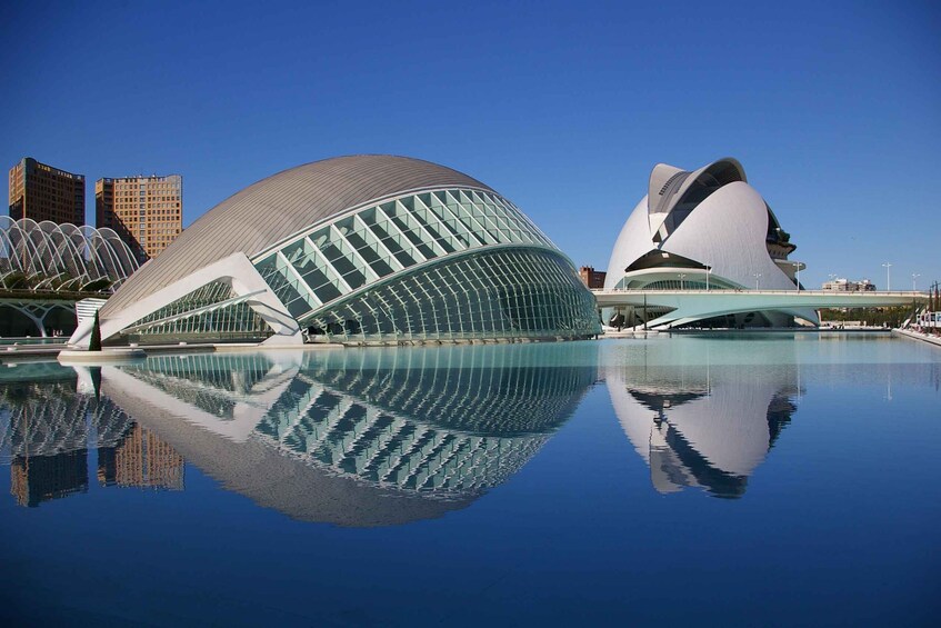 Picture 2 for Activity From Alicante: Valencia Full-Day Guided Tour