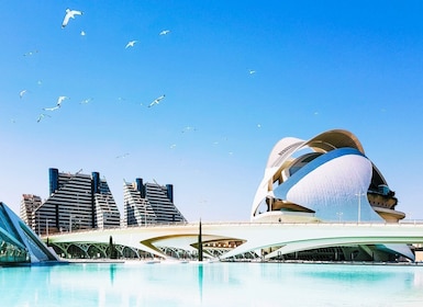 From Alicante: Valencia Full-Day Guided Tour