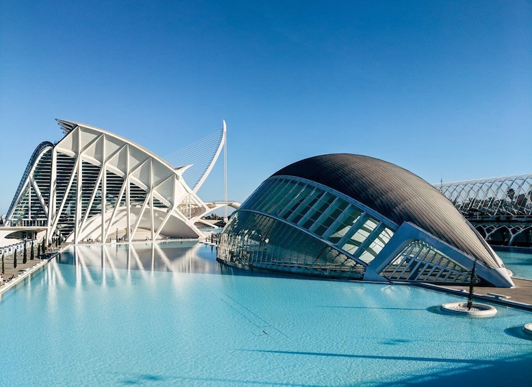 Picture 6 for Activity From Alicante: Valencia Full-Day Guided Tour