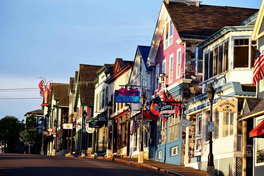 Picture 2 for Activity Bar Harbor: Insiders Private Tour of Acadia National Park