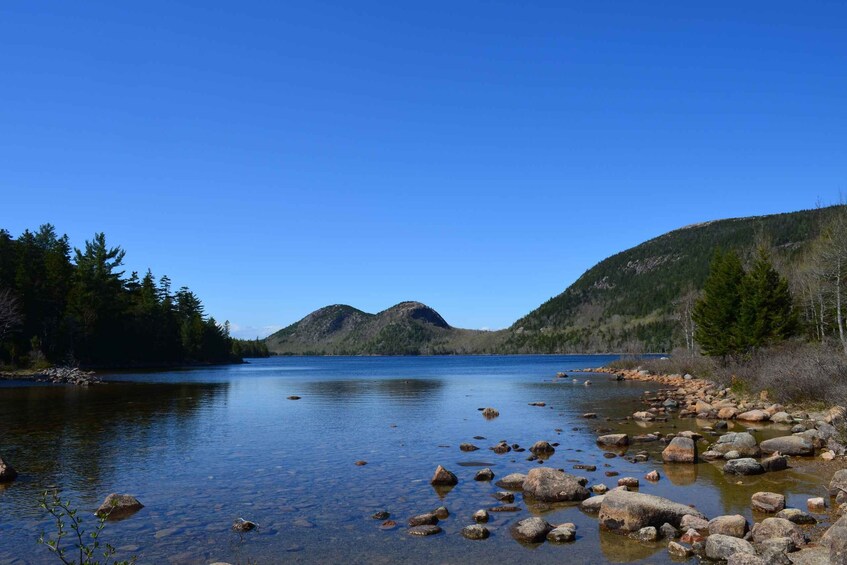 Picture 3 for Activity Bar Harbor: Insiders Private Tour of Acadia National Park