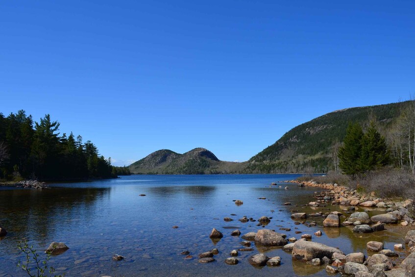 Picture 3 for Activity 3 Hour Private Tour: Insiders tour of Acadia National Park