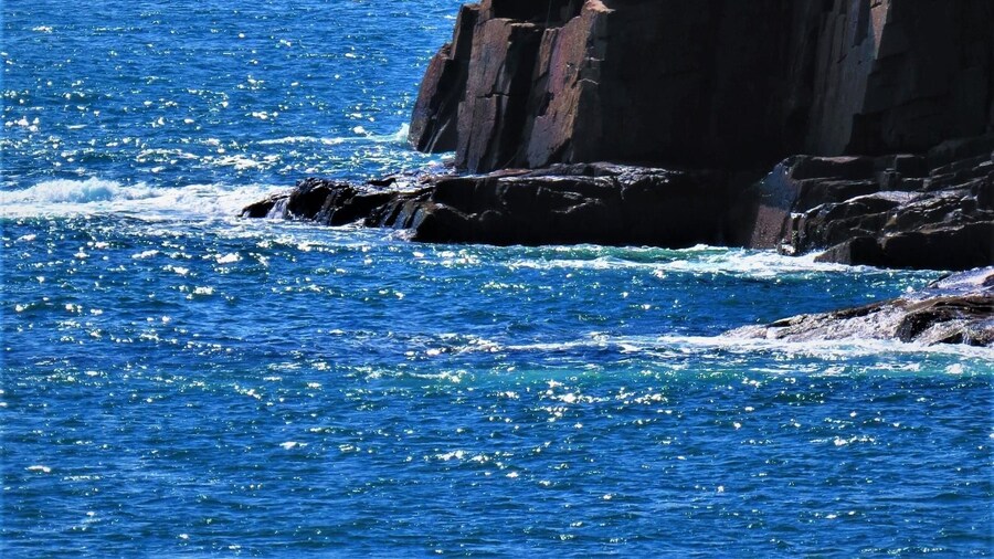 3 Hour Private Tour: Insiders tour of Acadia National Park